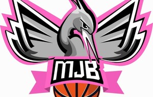 Montreuil Juigné Basket passe au rose pour Octobre Rose 🎀