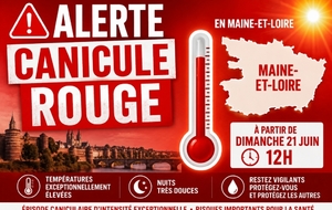 Annulation Entraînements MJB