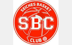 Match U15F contre SEICHES BASKET CLUB