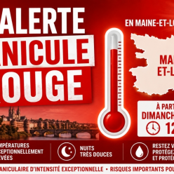 Annulation Entraînements MJB